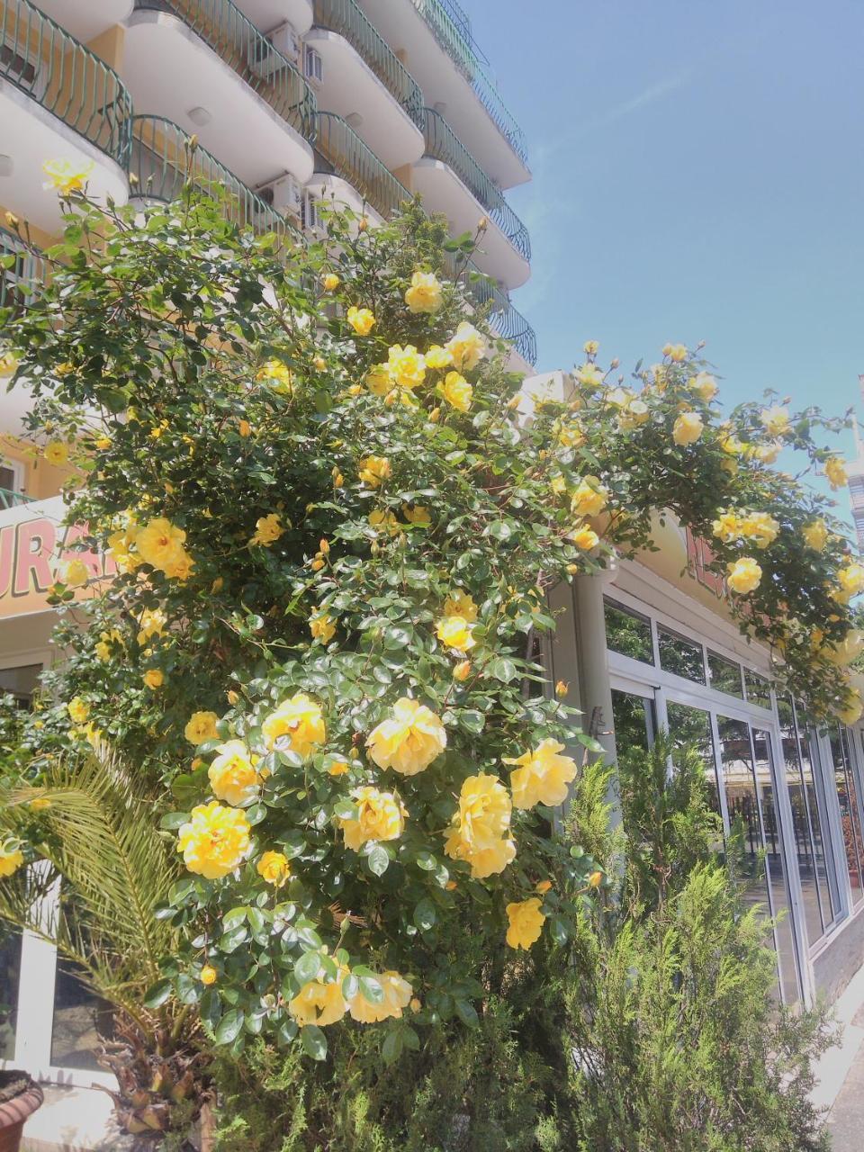 Hotel Yantra Napospart Kültér fotó